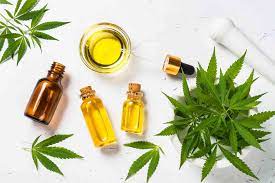 Bridging Traditions: CBD Oil In Ancient And Modern Healing Practices
