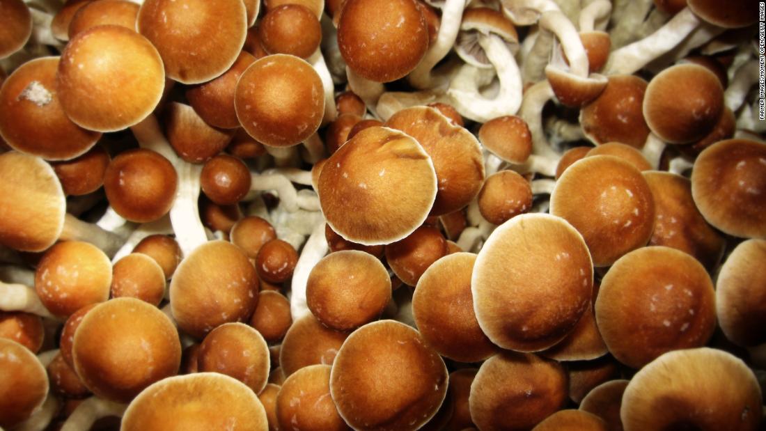 Psychedelic Journeys: The Fascinating World of Magic Mushrooms