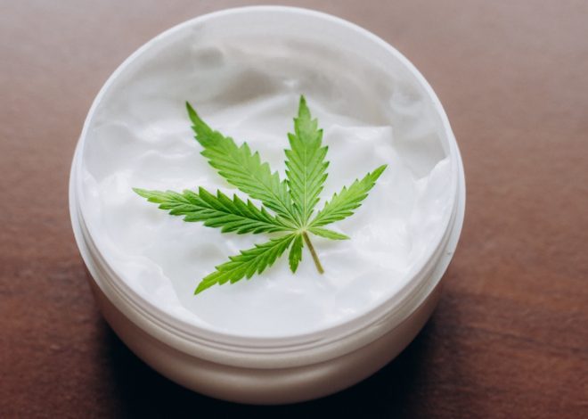Achieving Therapeutic Harmony: Unleashing the Power of CBD Cream for Balanced Relief